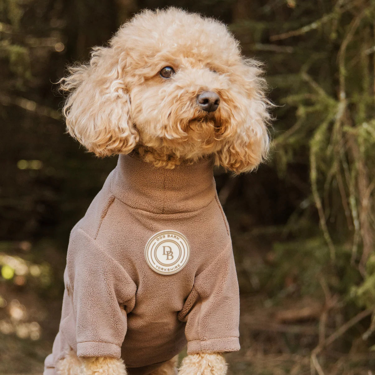 Dog wearing a brown outfit with a logo in a forest setting