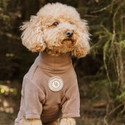 Dog wearing a brown outfit with a logo in a forest setting
