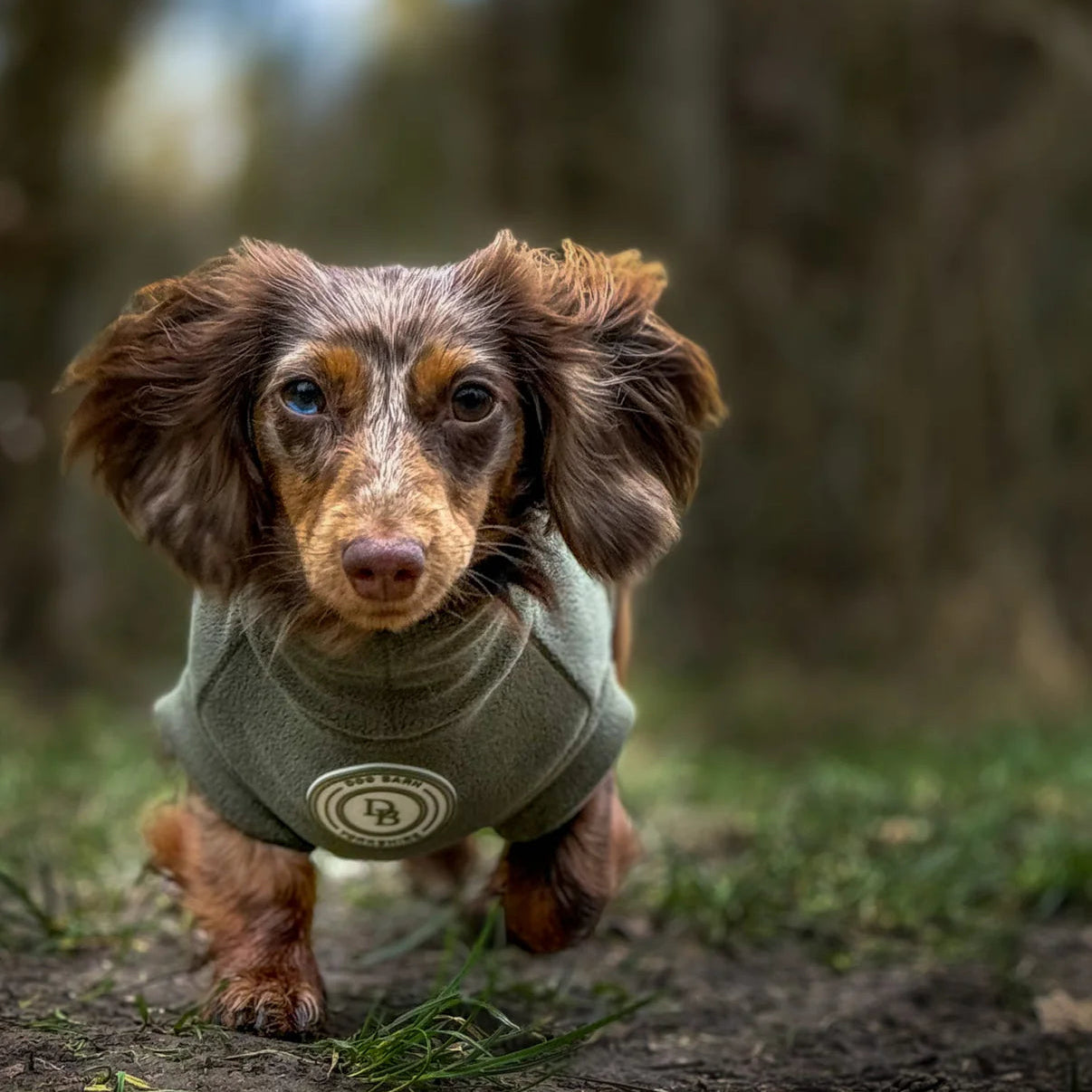 dog barn fleece for little dogs 