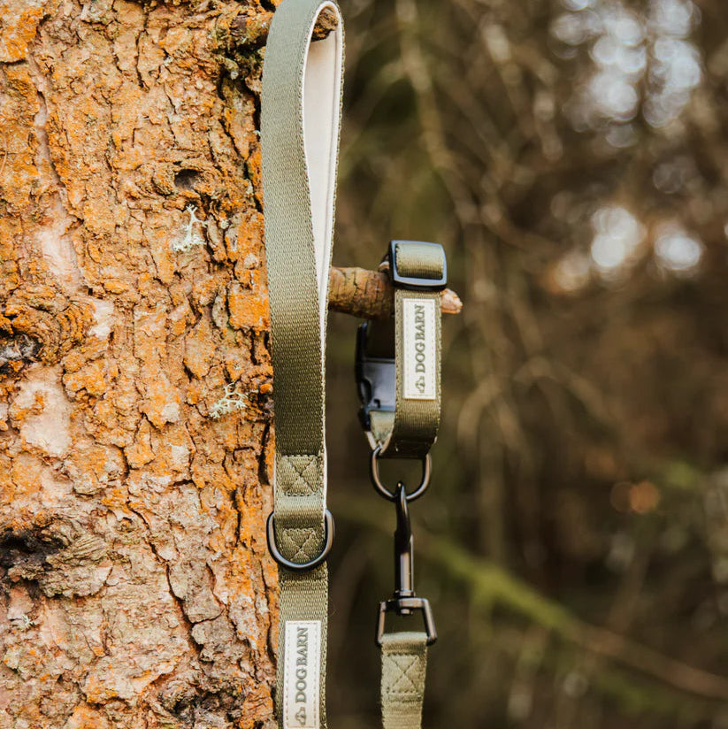 Green dog leash attached to a tree with a blurred natural background