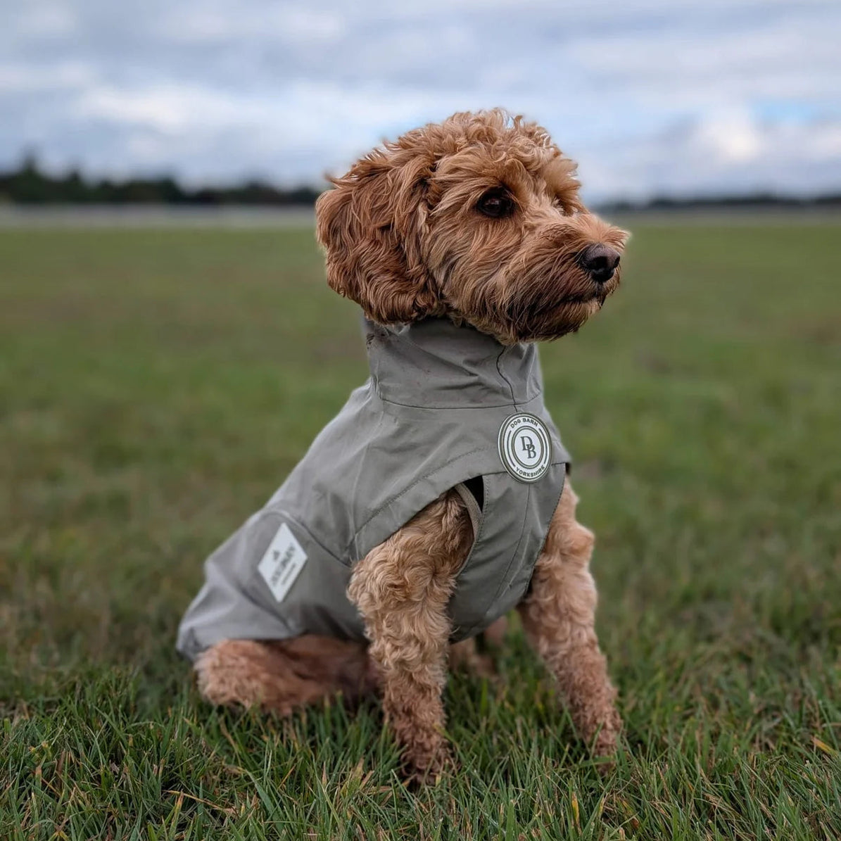 Forrest Glade Rain Jacket