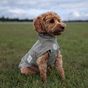 Dog wearing a gray coat in a grassy field with a cloudy sky.