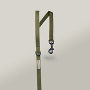 green dog lead 