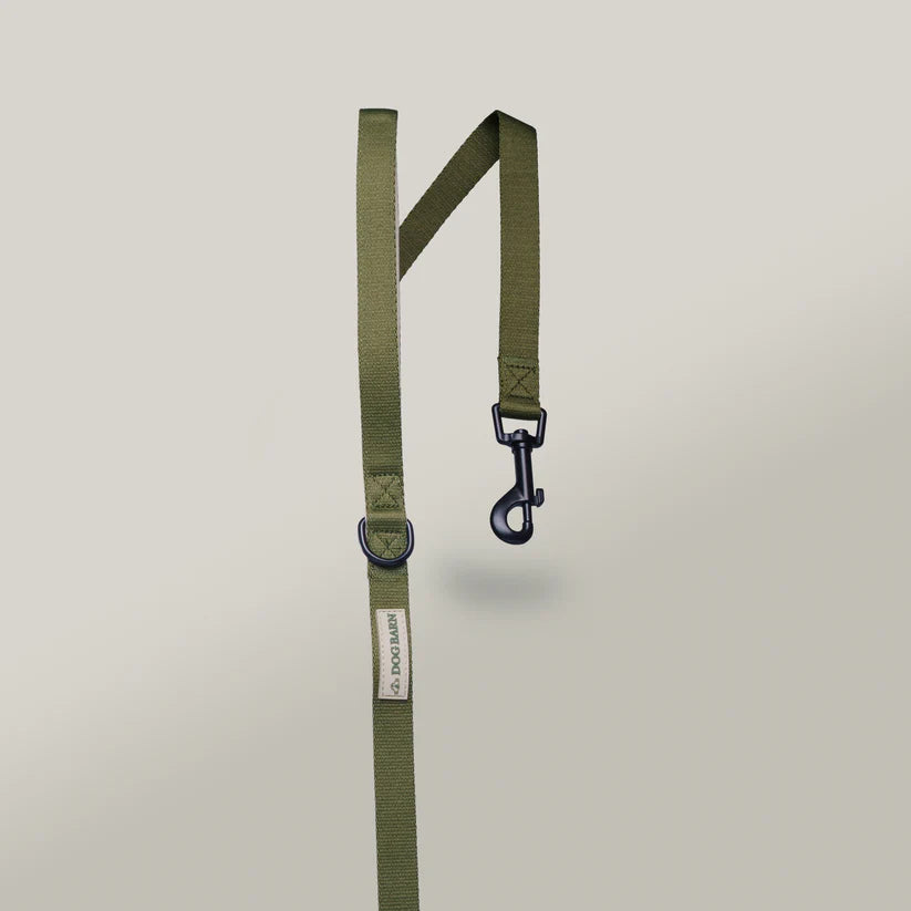 green dog lead 