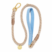 Dog leash with gold clasp and blue handle on a white background