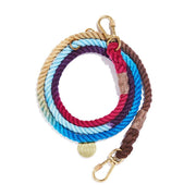 Colorful braided dog leash with gold clasp on a white background