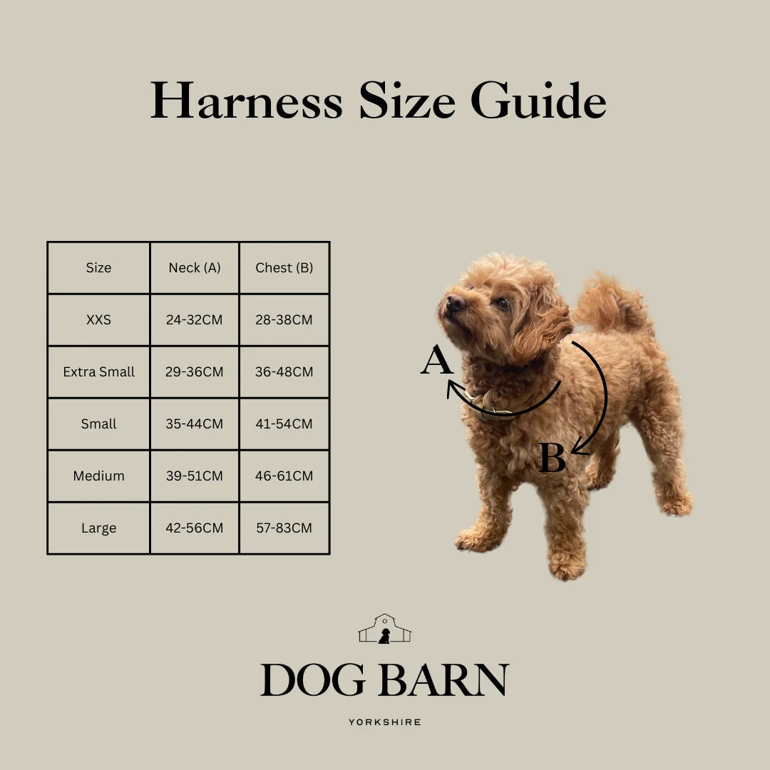 Forrest Glade Dog Harness