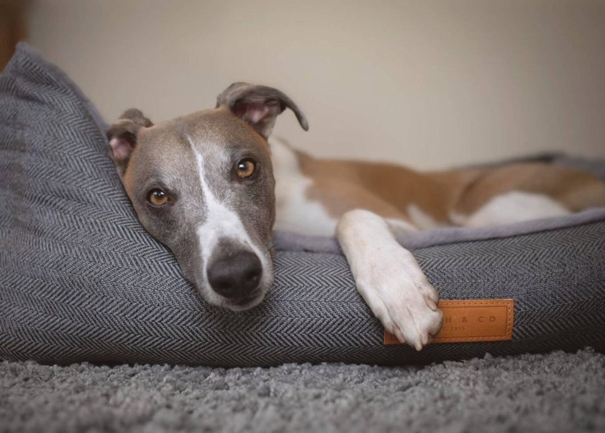 Balmoral Luxury Grey Herringbone Dog Bed