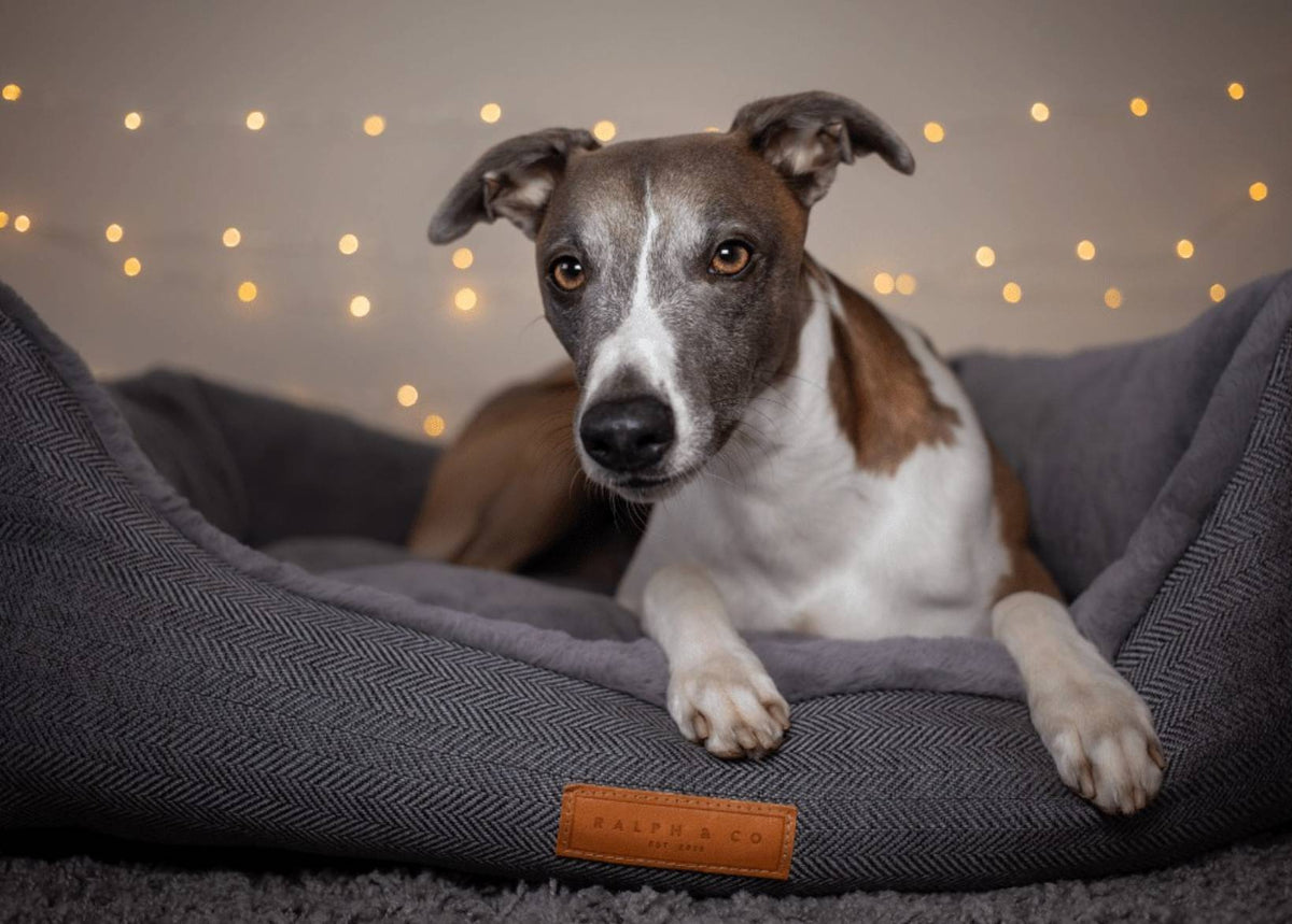 Balmoral Luxury Grey Herringbone Dog Bed