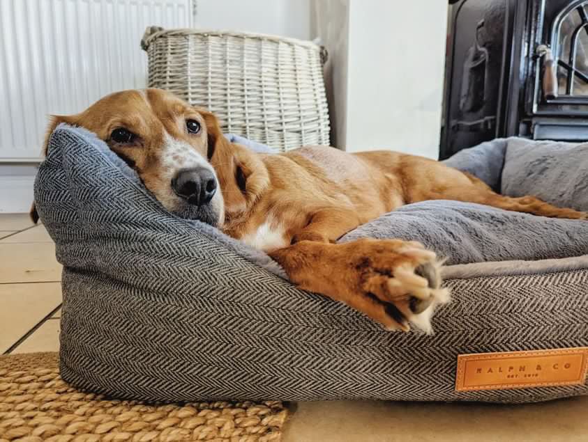 Balmoral Luxury Grey Herringbone Dog Bed