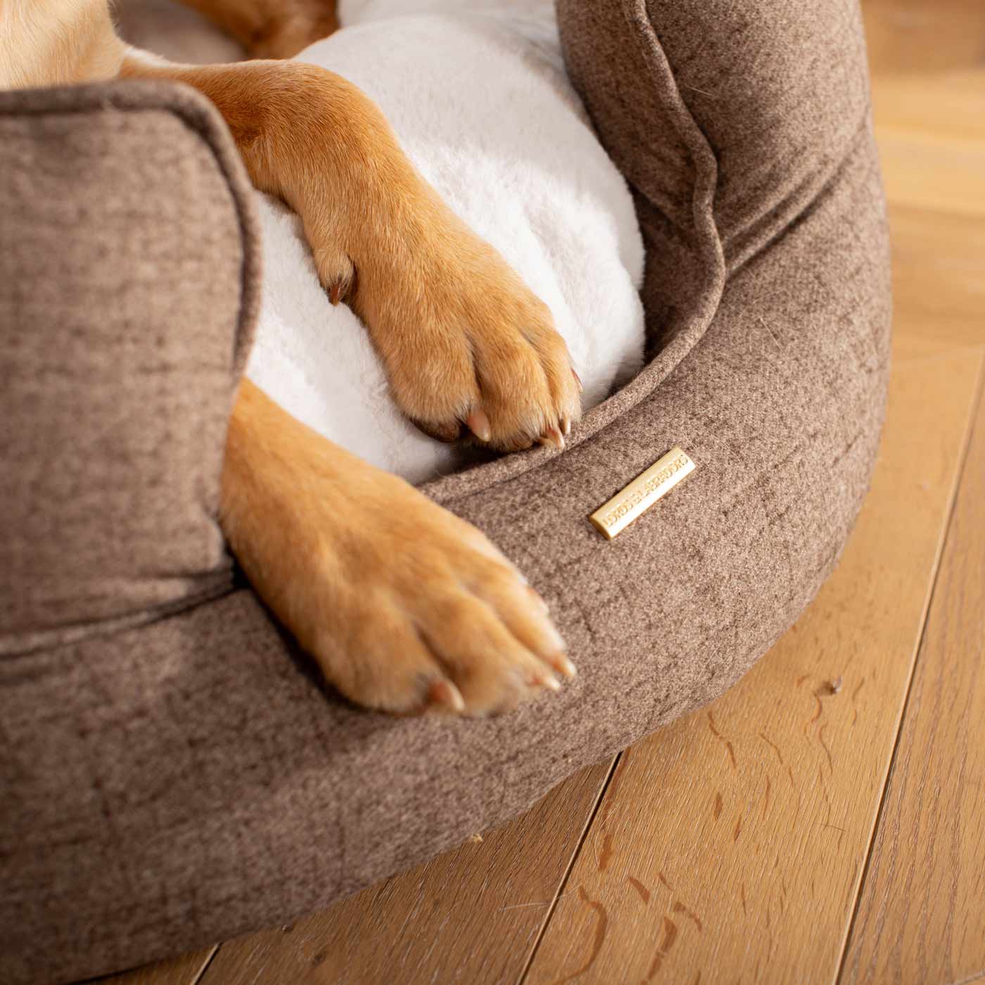 Supportive high sided pet bed for dogs
