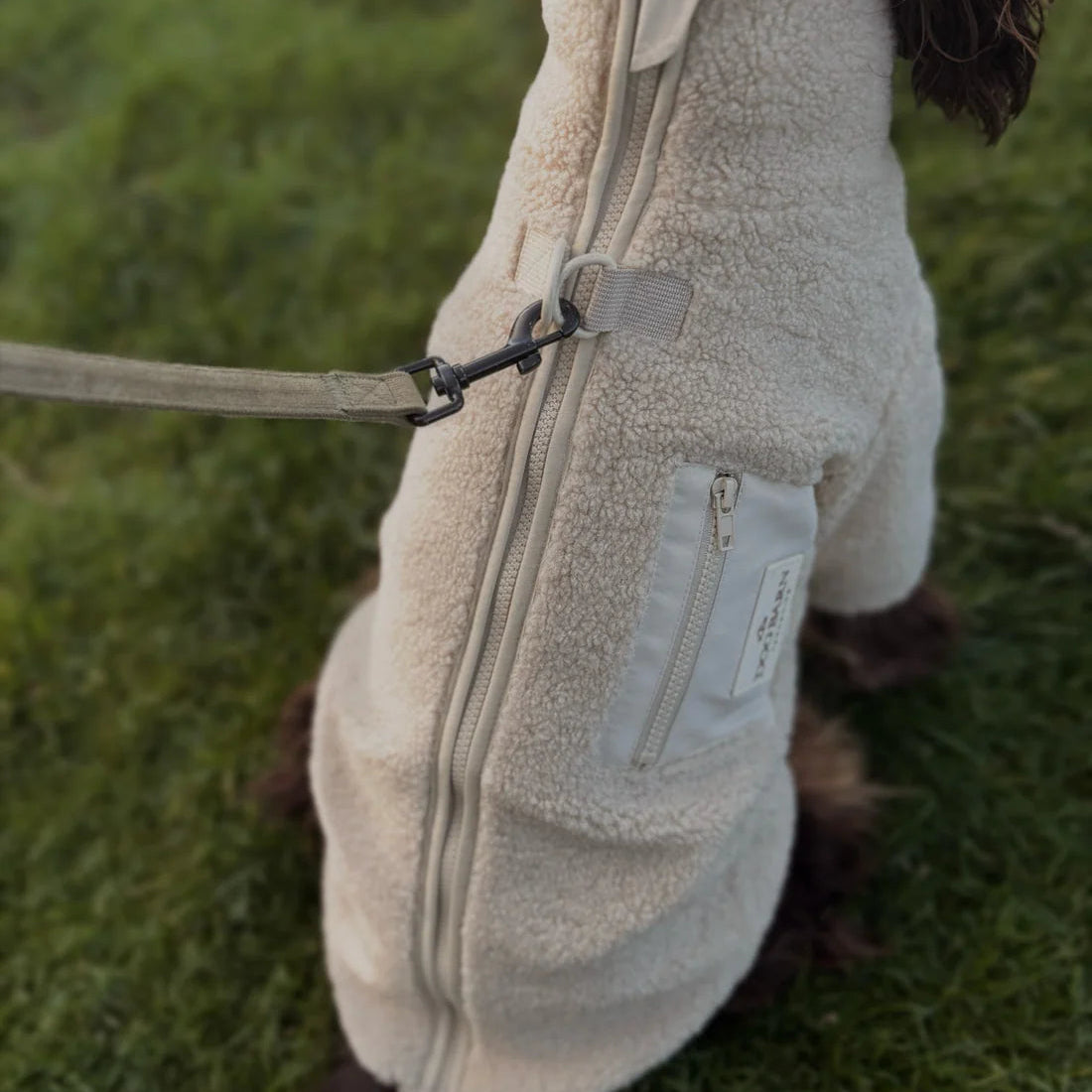 Dog wearing a beige fleece jacket on grass
