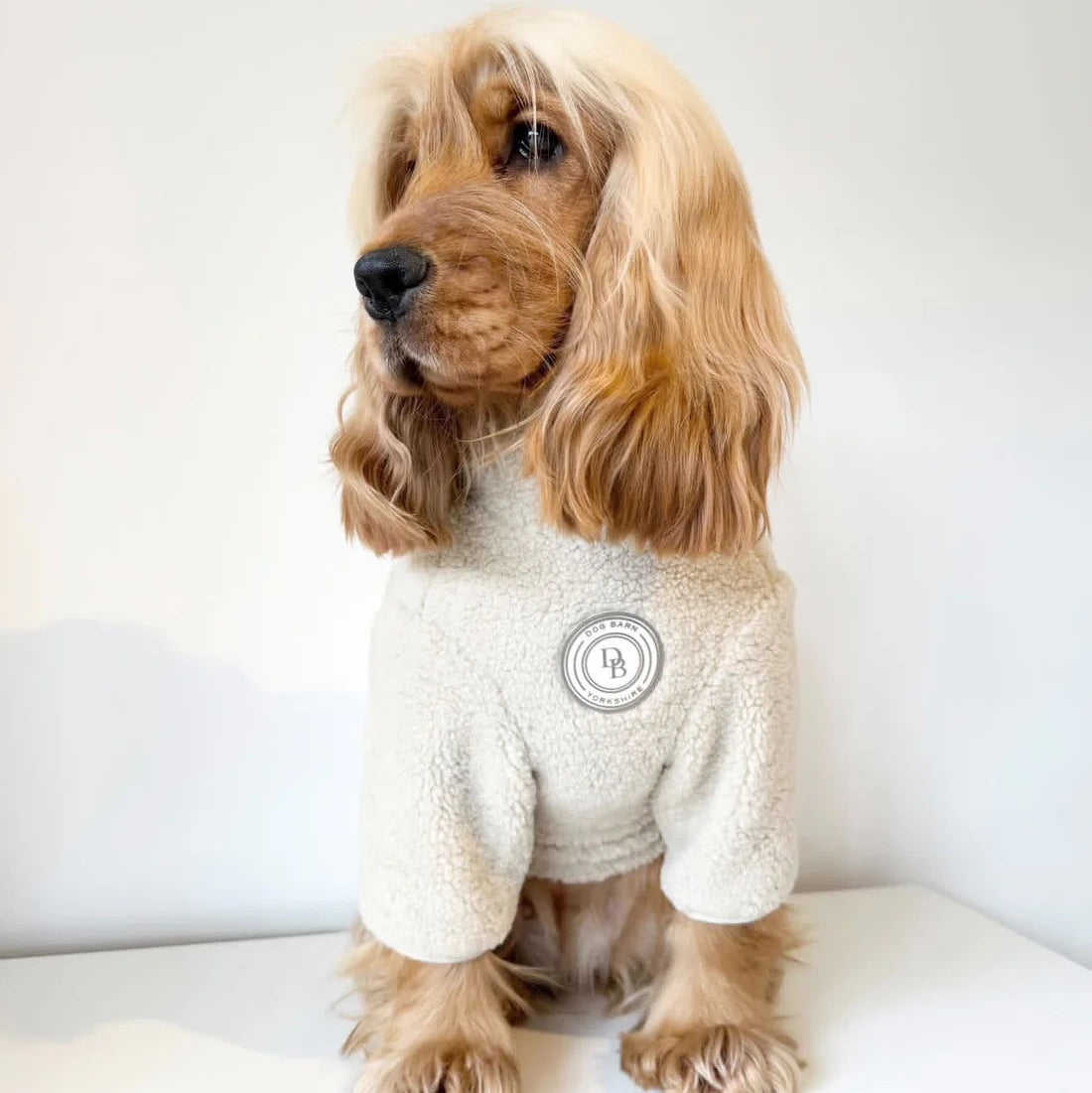 Dog wearing a white fleece sweater with a logo on a white background
