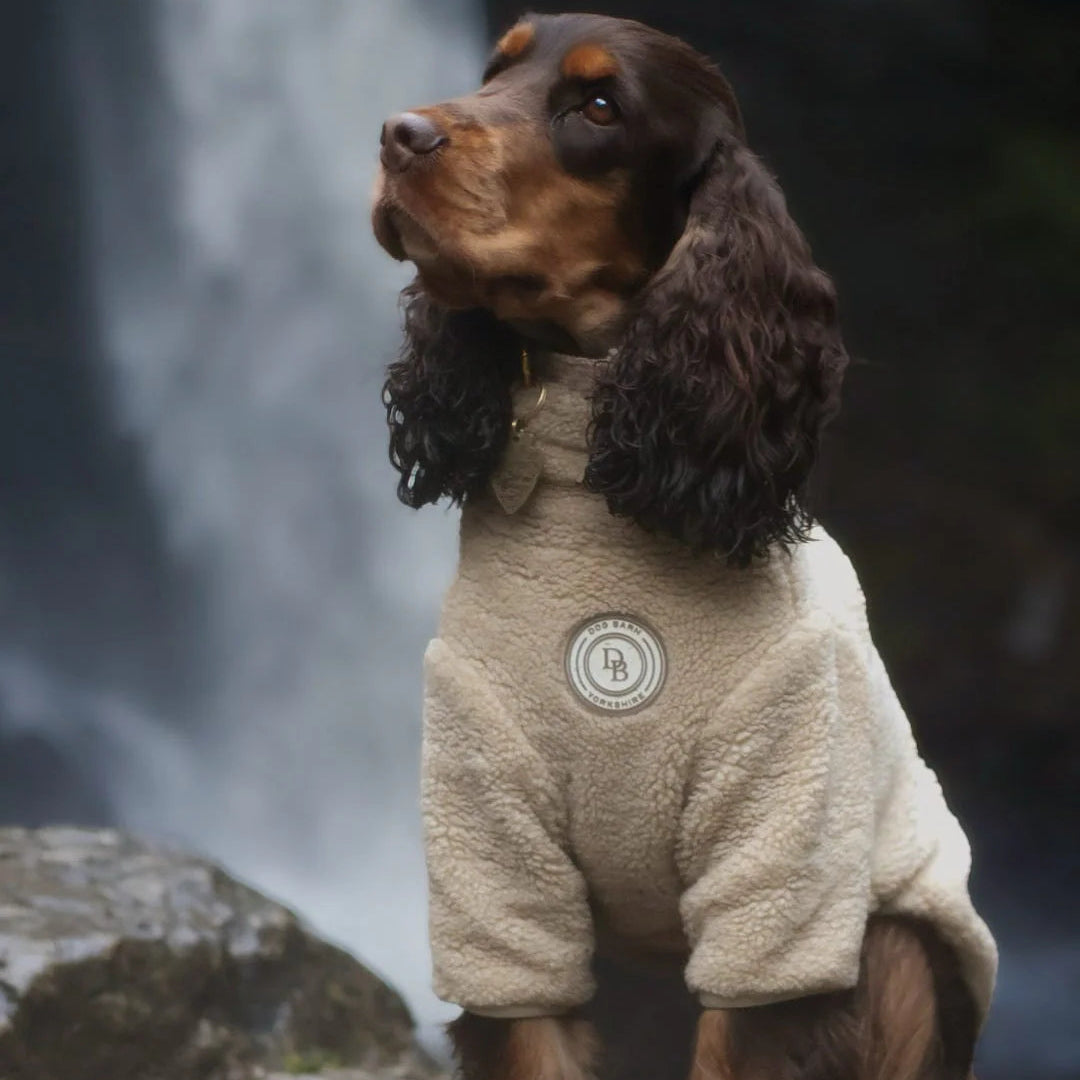 Dog wearing a beige onesie with a logo, sitting on a rock with a waterfall in the background