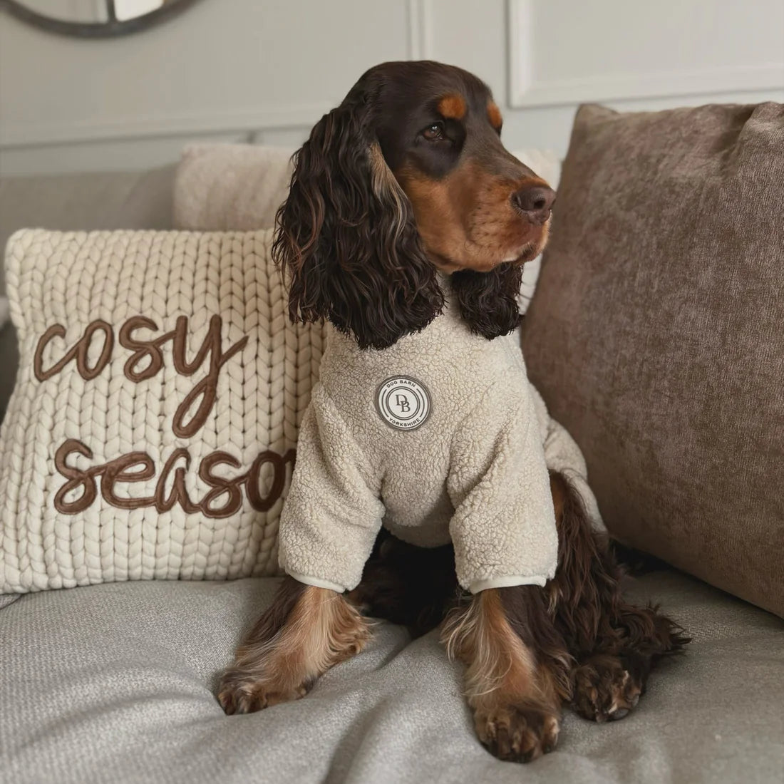 Dog wearing a beige fleece coat sitting on a couch with a 'cosy season' pillow.