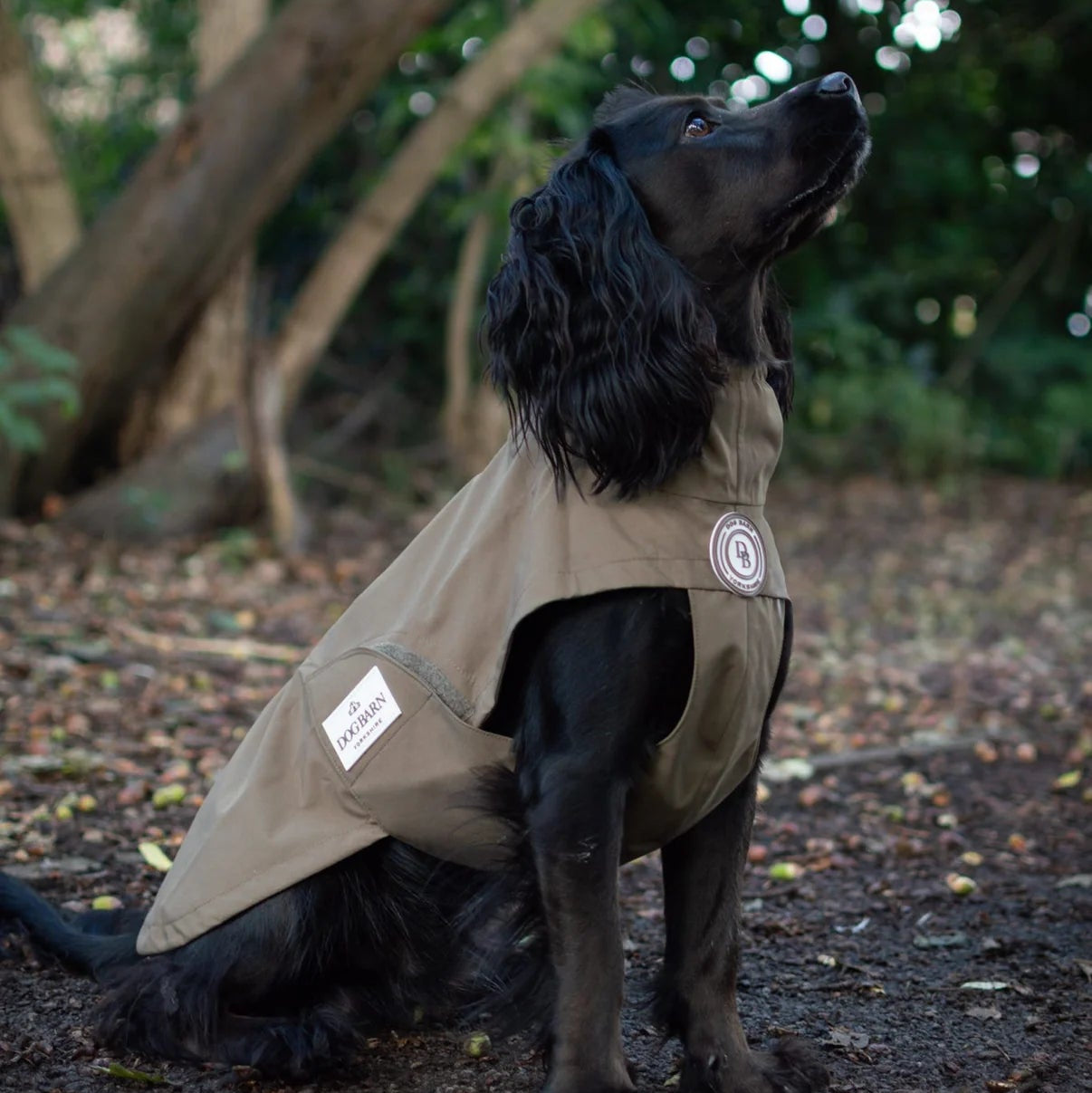 Dog wearing a beige coat with a brand logo in a natural setting