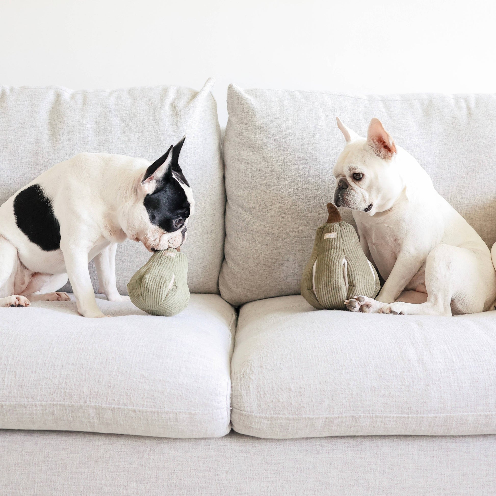 Dog playing with the Butternut enrichment toy by Lambwolf Collective