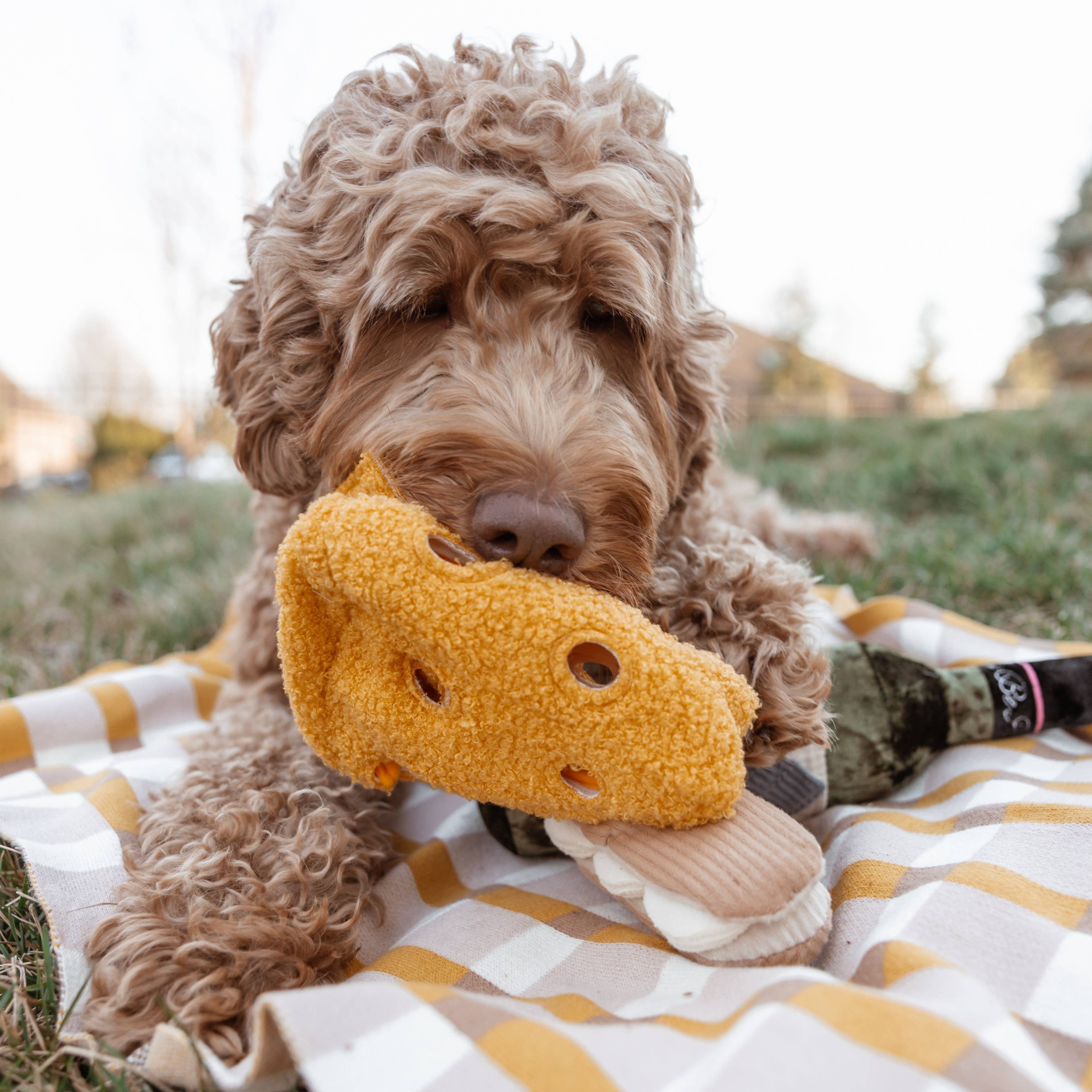 Cheese-inspired enrichment toy for dogs by Lambwolf Collective