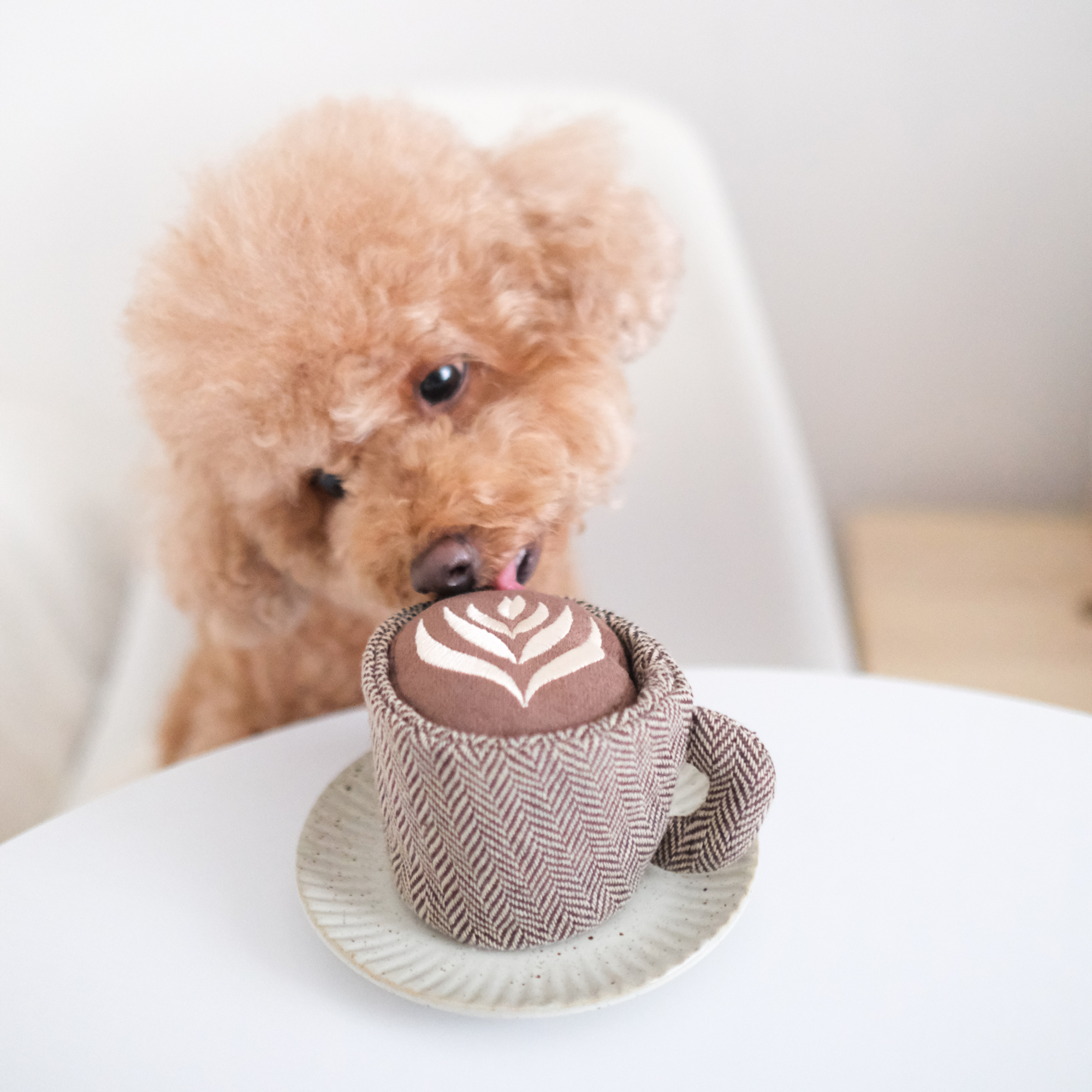 Coffee cup inspired enrichment toy by Lambwolf Collective