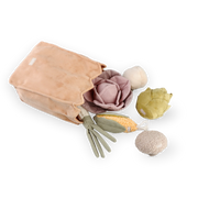 Farmer's Market Set Dog Toy by Lambwolf Collective
