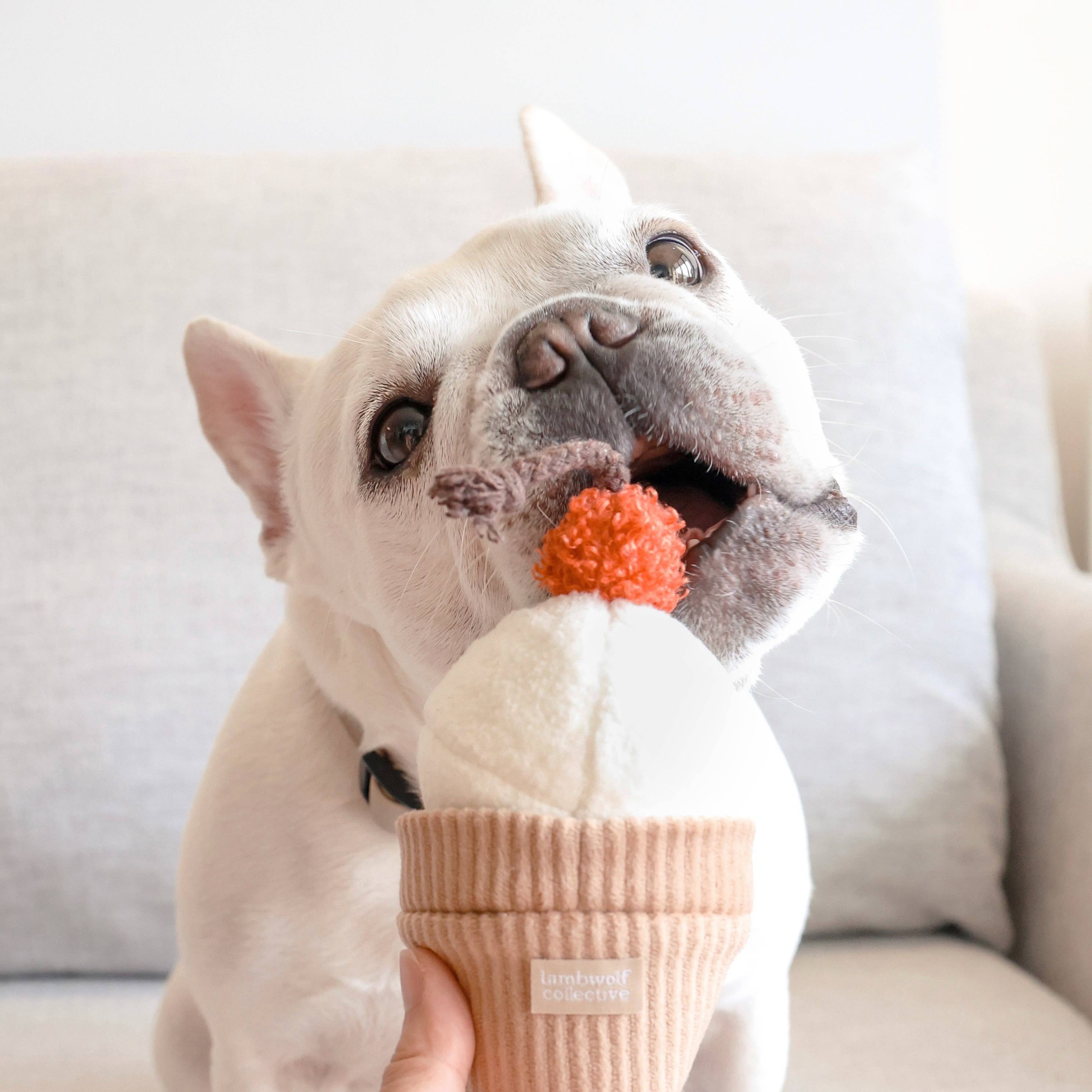 Hidden treat compartment inside the Ice Cream Pop Dog Toy