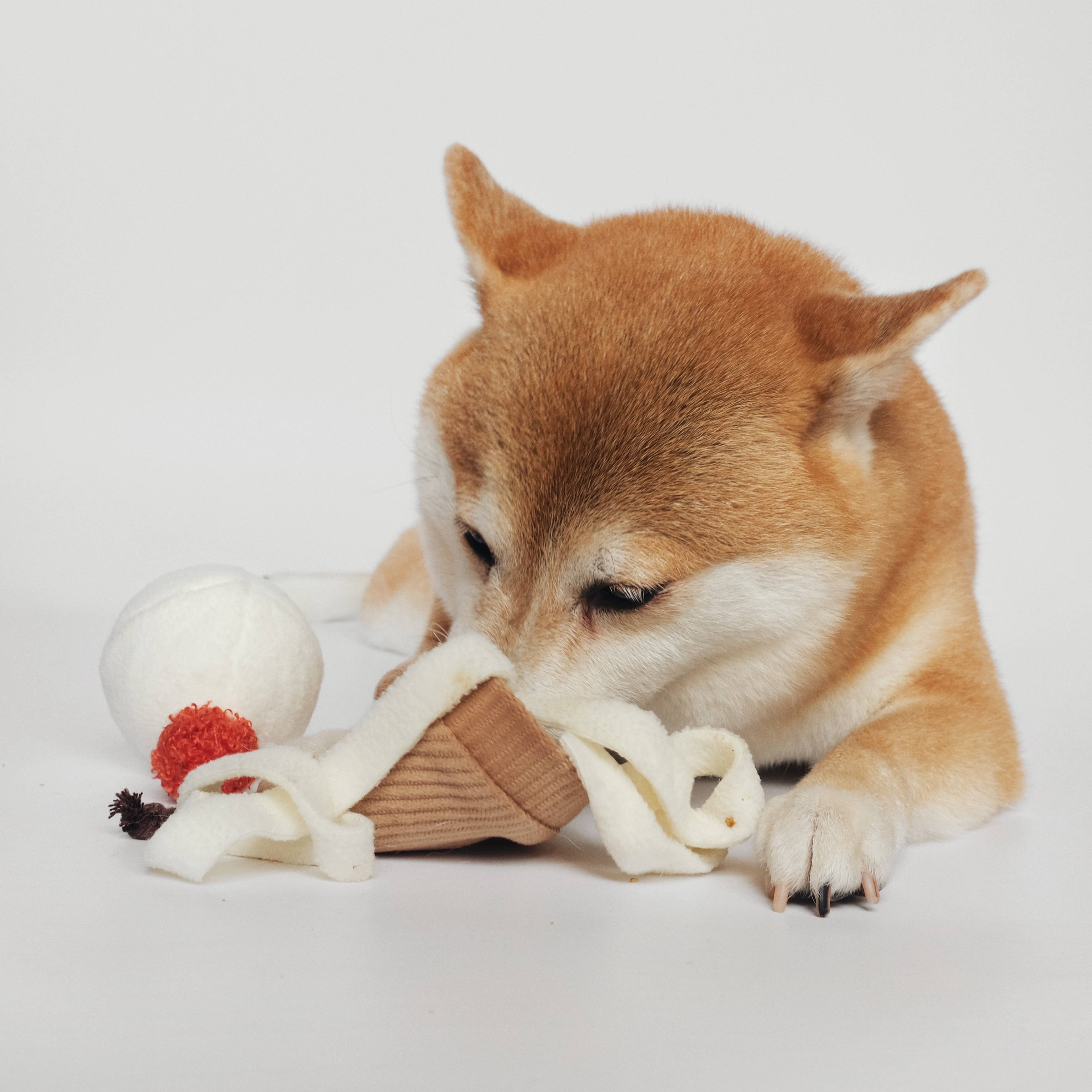 Removable squeaky ball inside the Ice Cream Pop Dog Toy