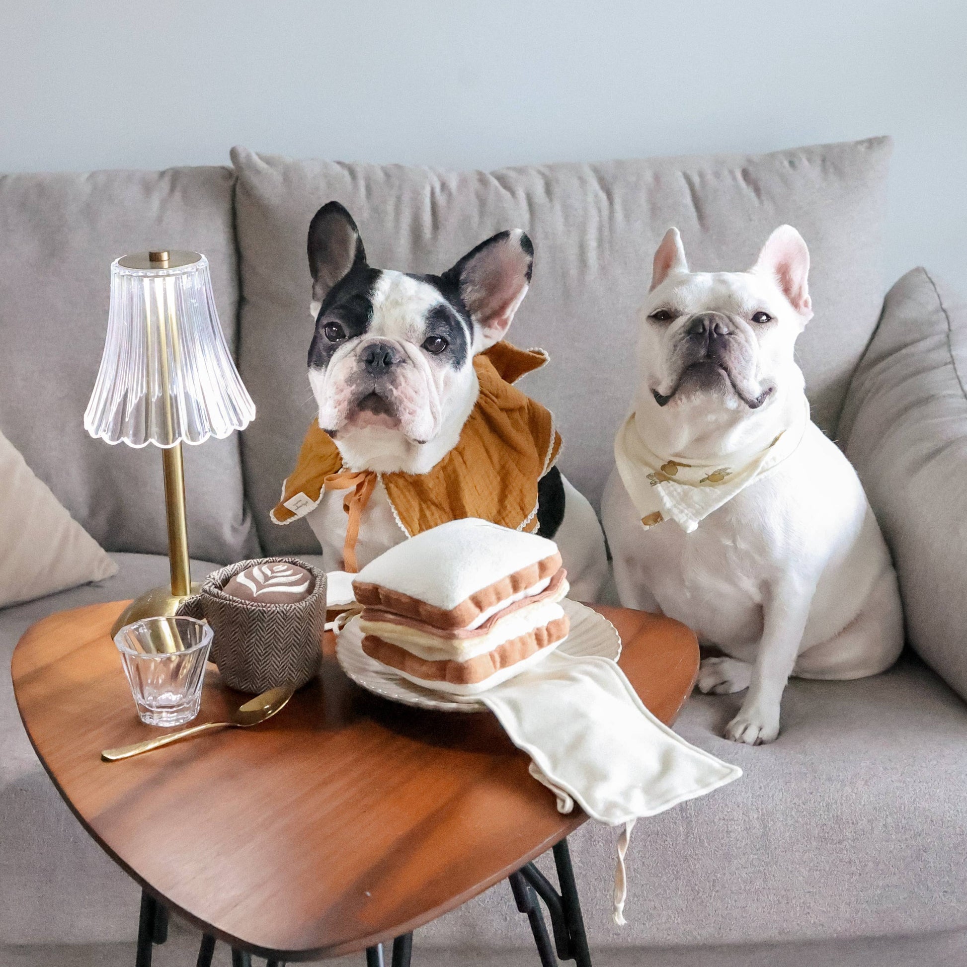 Dog playing with the Latte Pop enrichment toy by Lambwolf Collective