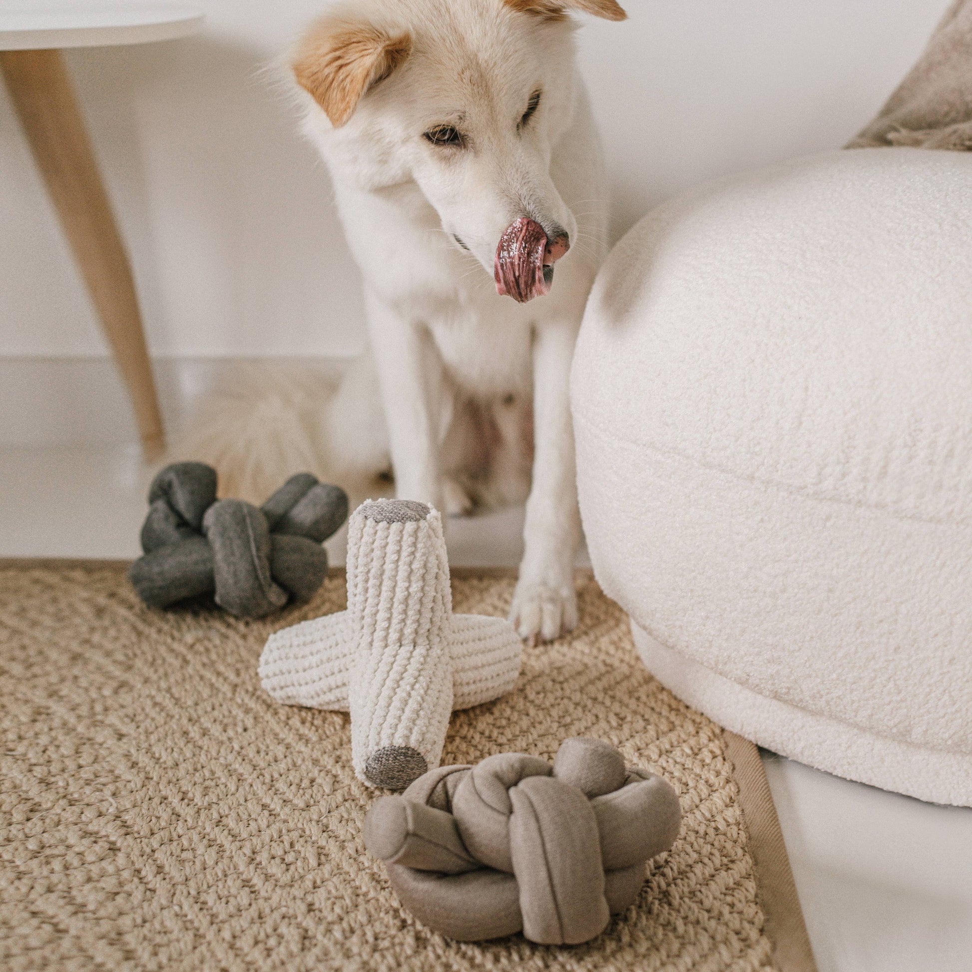 NOU Dog Toy tied into an enrichment knot puzzle
