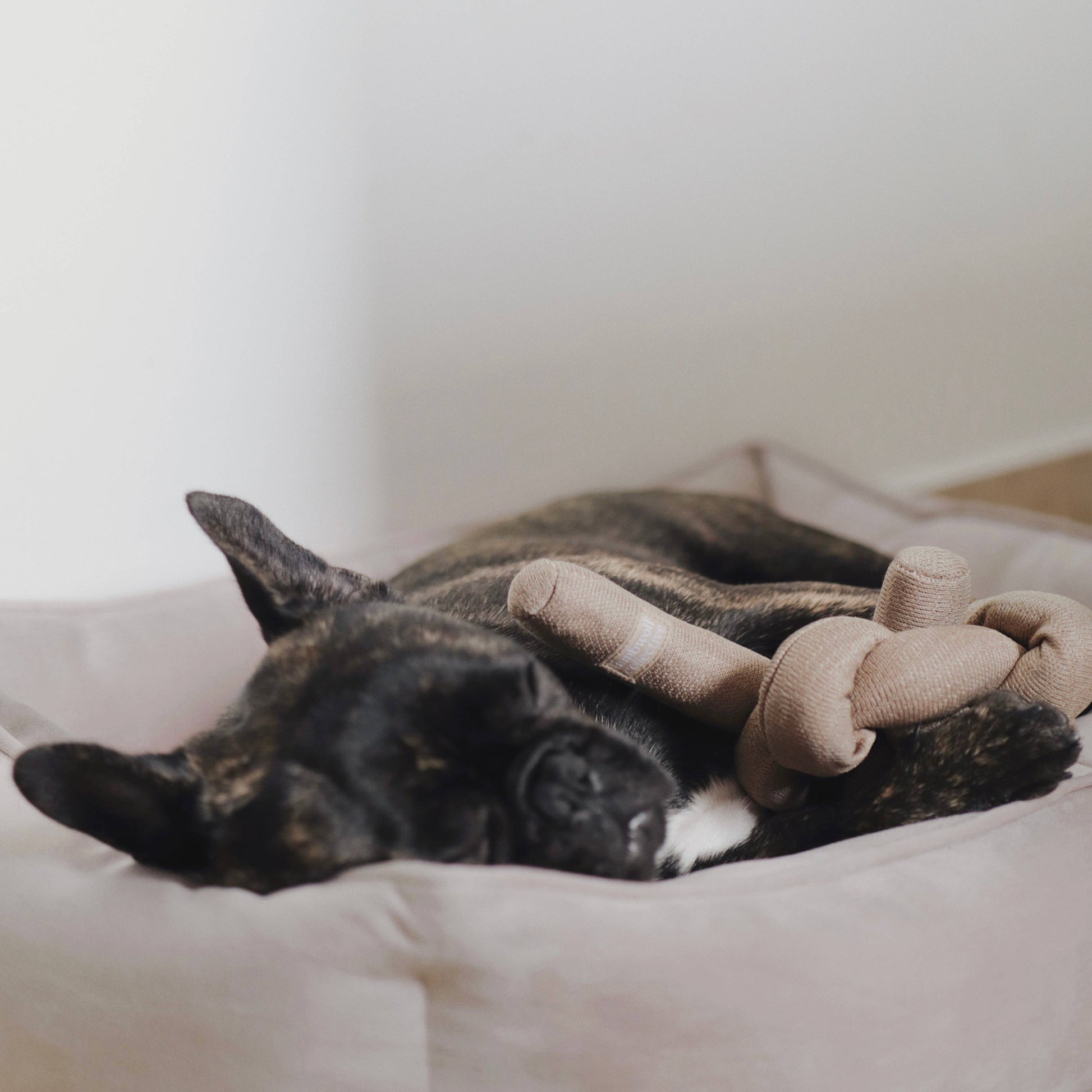 Treat-hiding enrichment features on the Lambwolf Collective NOU Toy