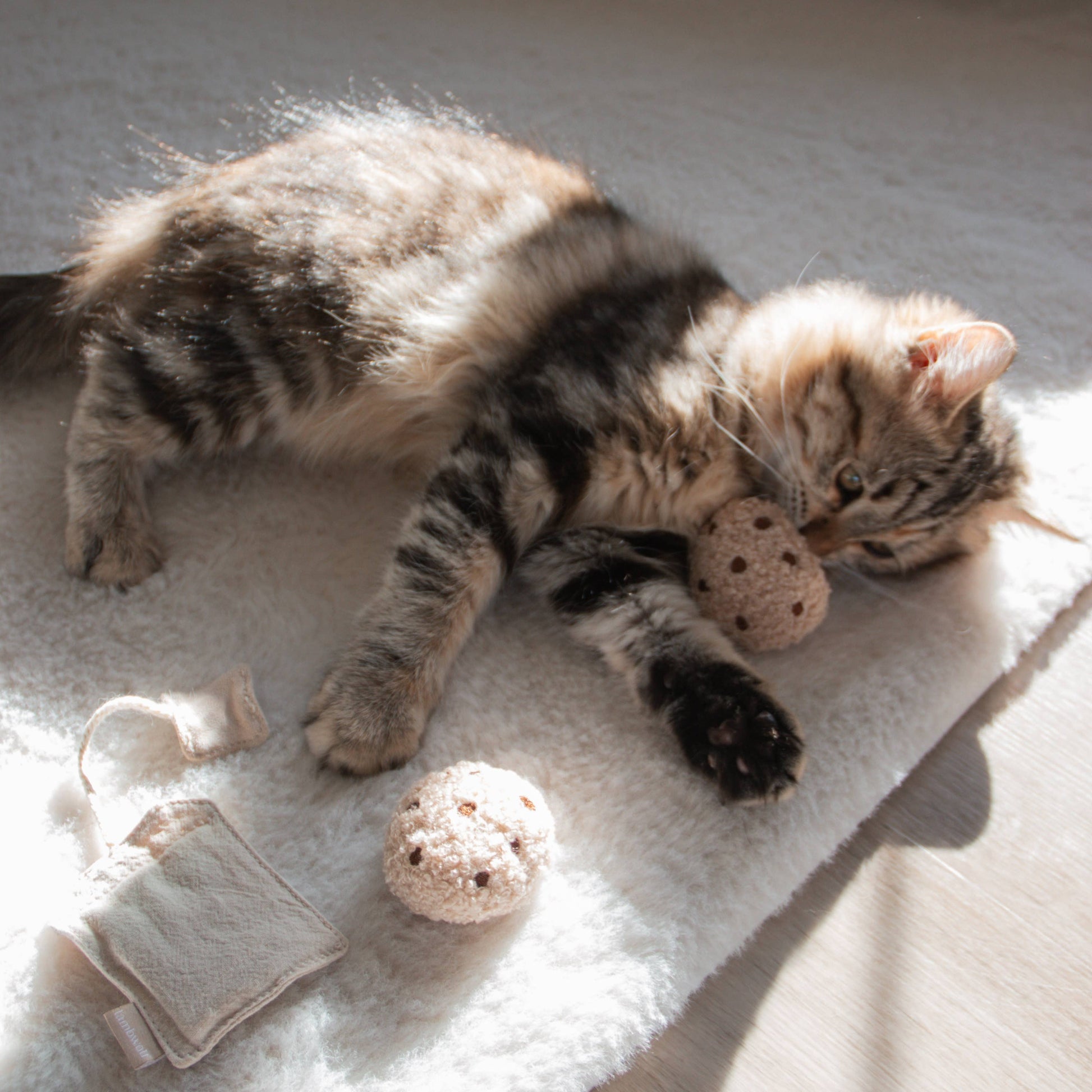 Bell-filled teddy biscuit toys from the Tea Time Cat Nips collection
