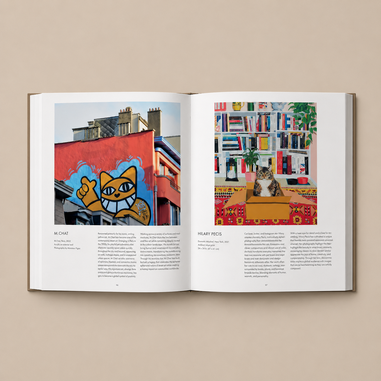 Open book showing two pages with images of a colorful mural and a cat on a shelf.