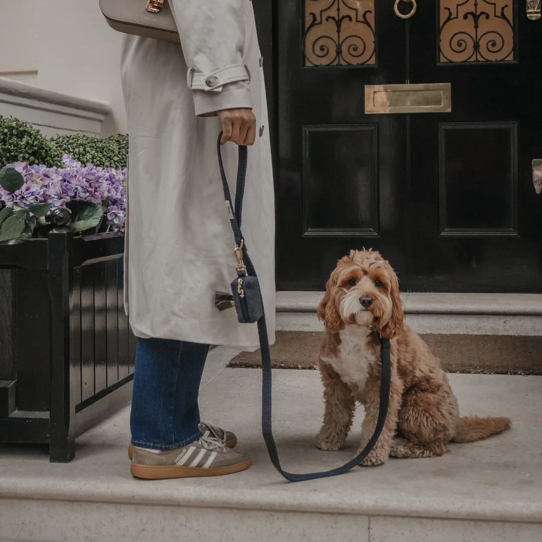 Person with a dog on a leash in front of a black door with decorative ironwork.