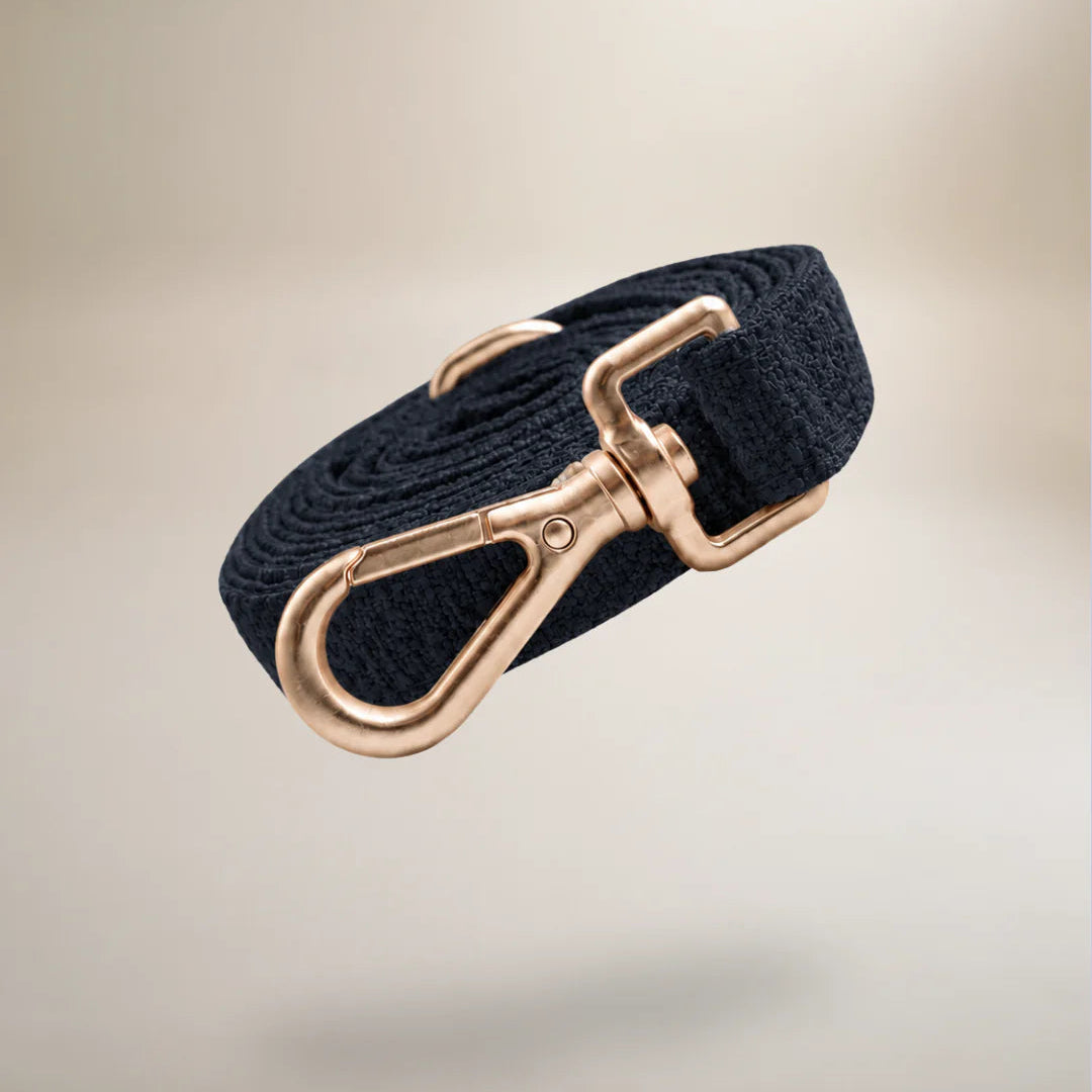 Navy blue dog leash with a gold clasp on a beige background