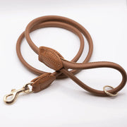 Rolled Soft Leather Dog Lead - Tan