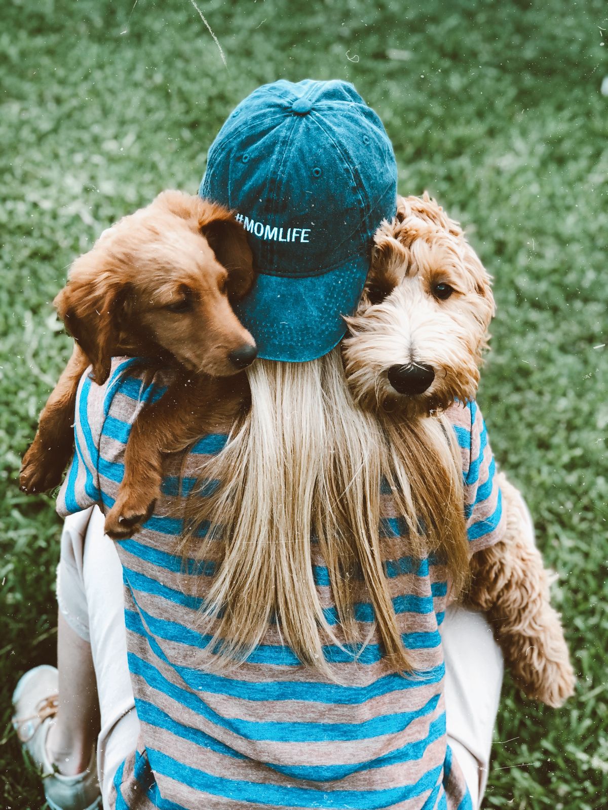 Bell & Beau 