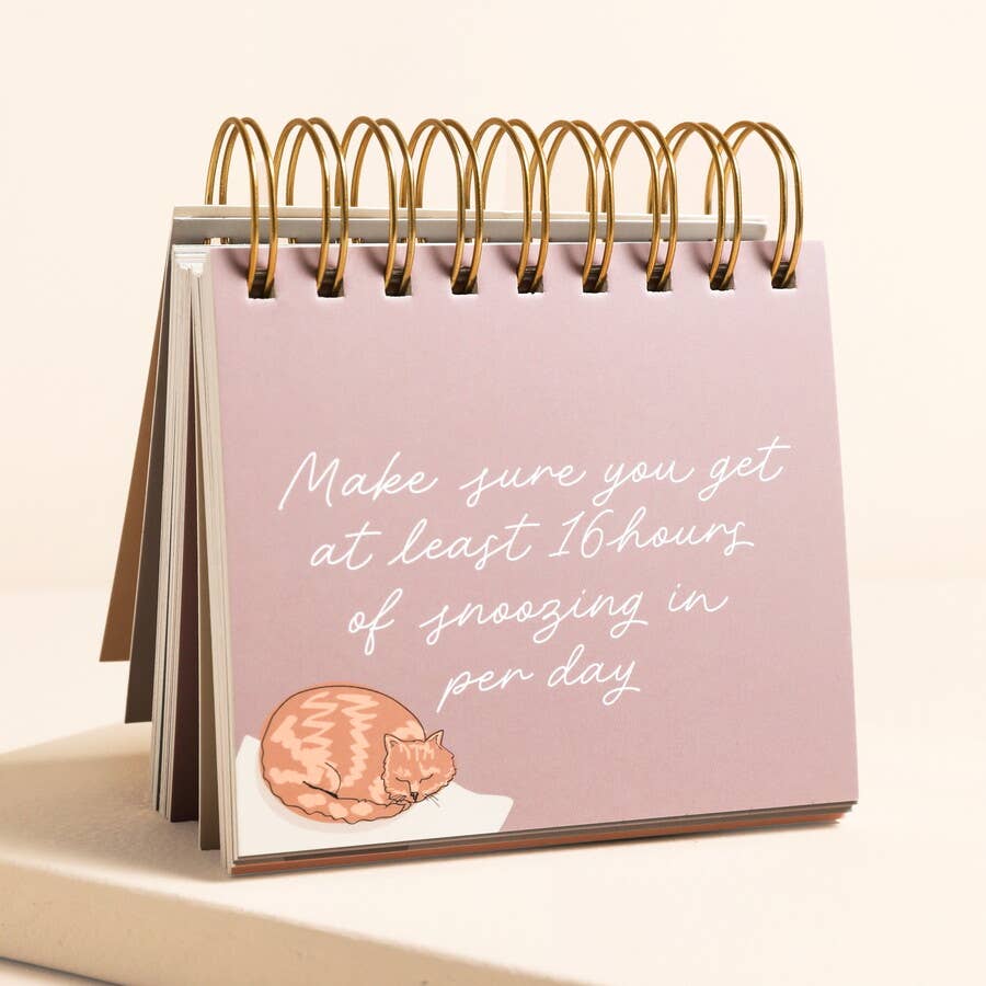 Desk calendar with a cat illustration and text on a pink background