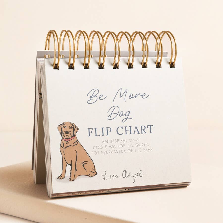 Flip chart with a dog illustration and text on a beige background