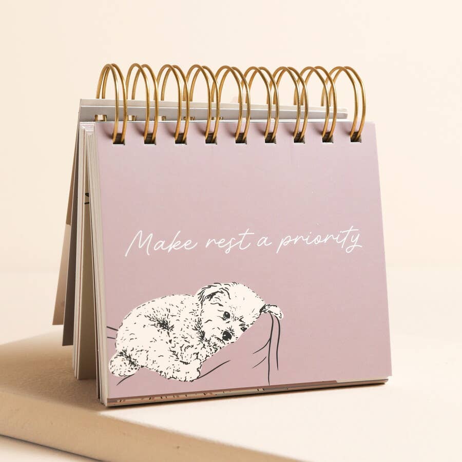 Pink desk calendar with a sleeping cat illustration and text on a beige background