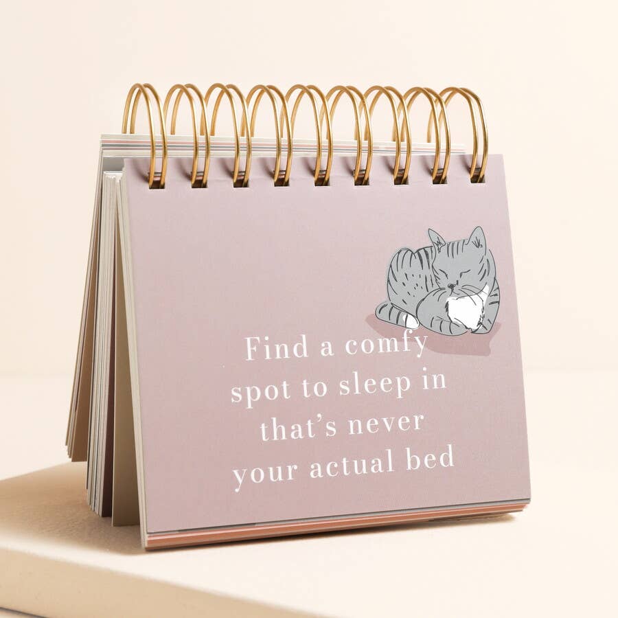 Side view of the Be More Cat Desktop Flip Chart
