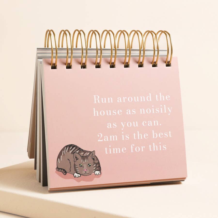 Positive cat-inspired sayings inside the flip chart