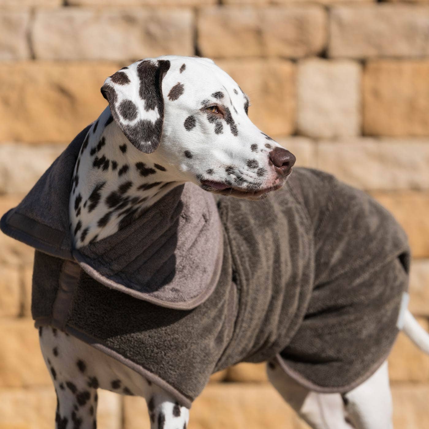 Lords & Labradors Bamboo Drying Coat in Mole