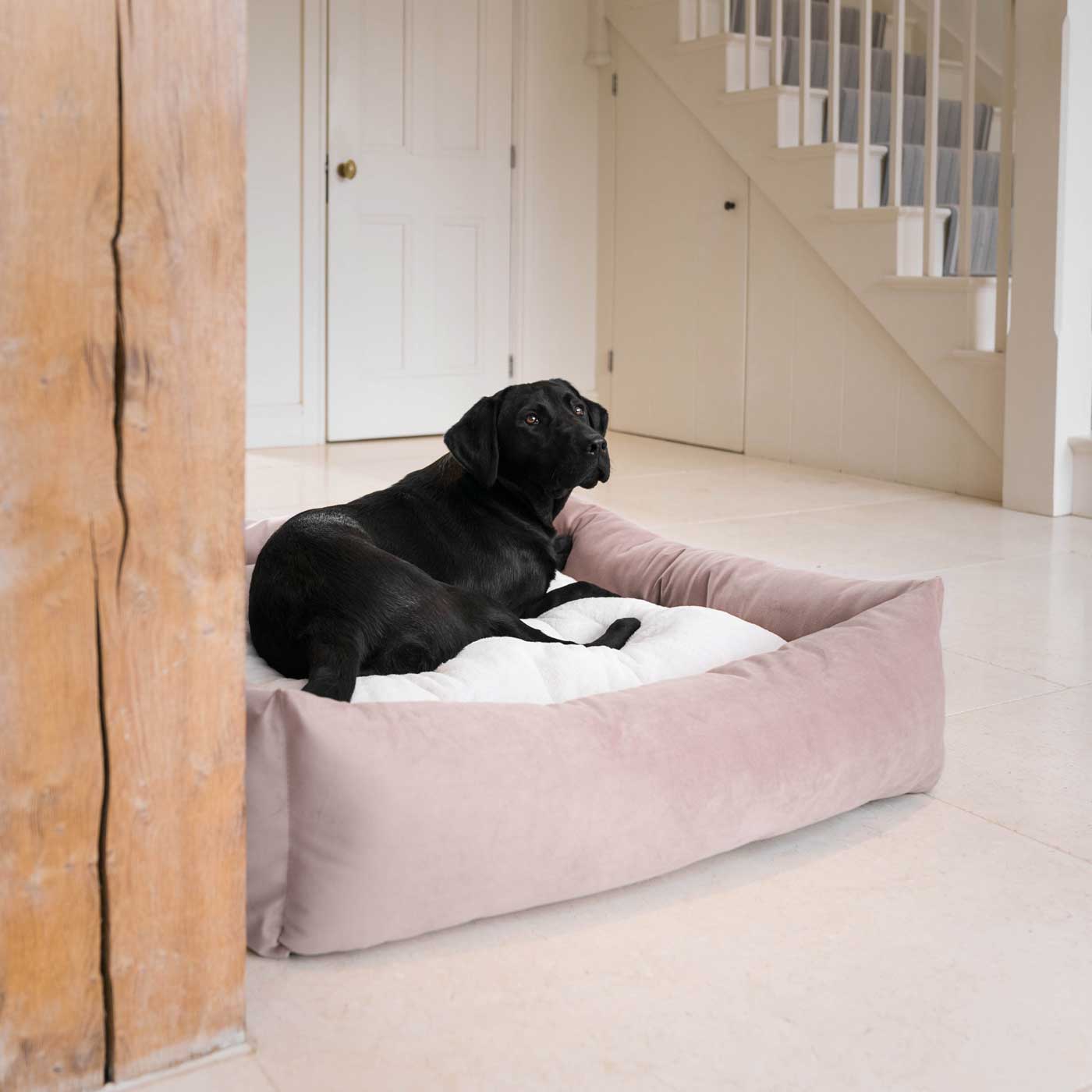 Dog relaxing inside the Blossom Velvet Box Bed by Lords & Labradors
