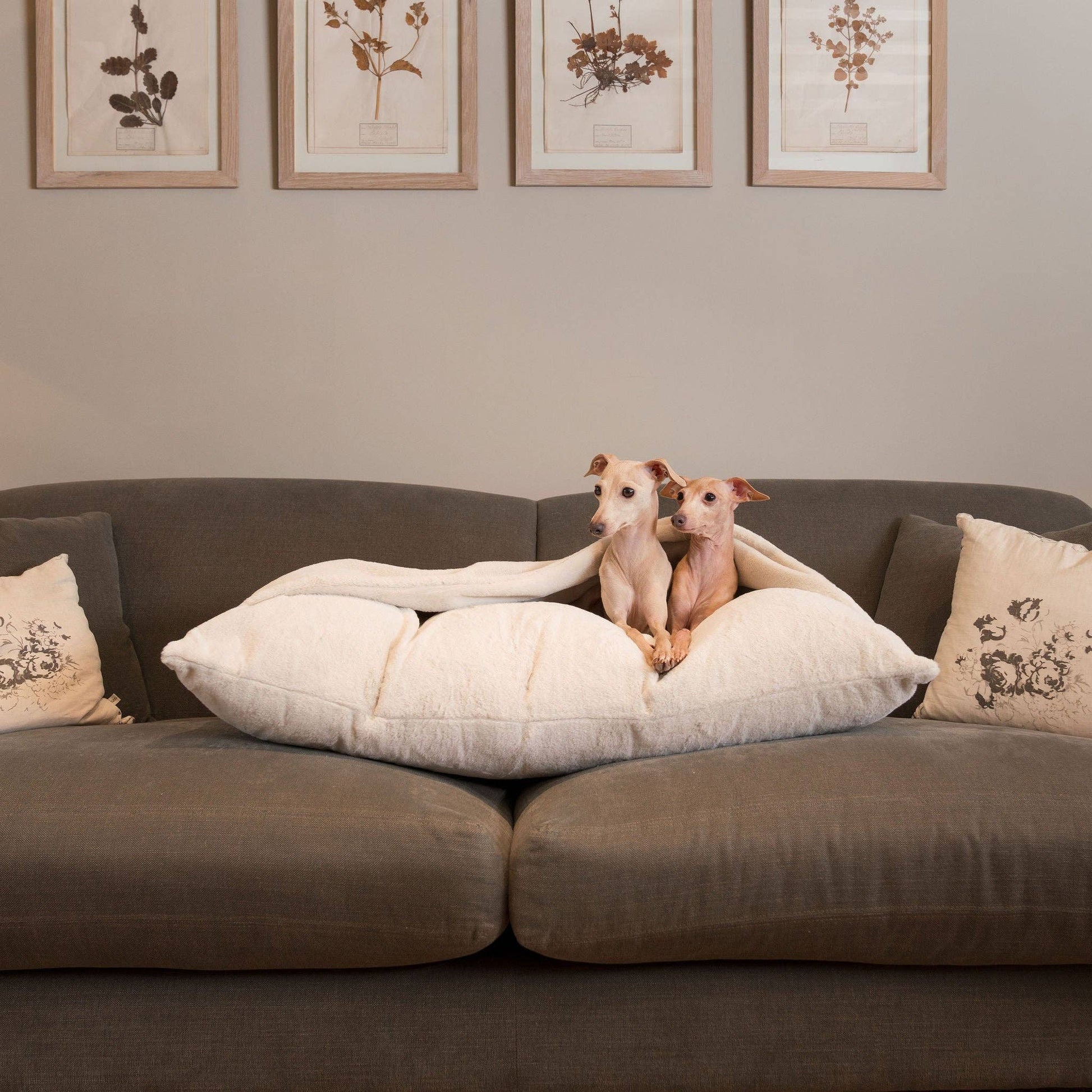 Sleepy Burrows Bed in Cream Faux Fur used flat as a cushion