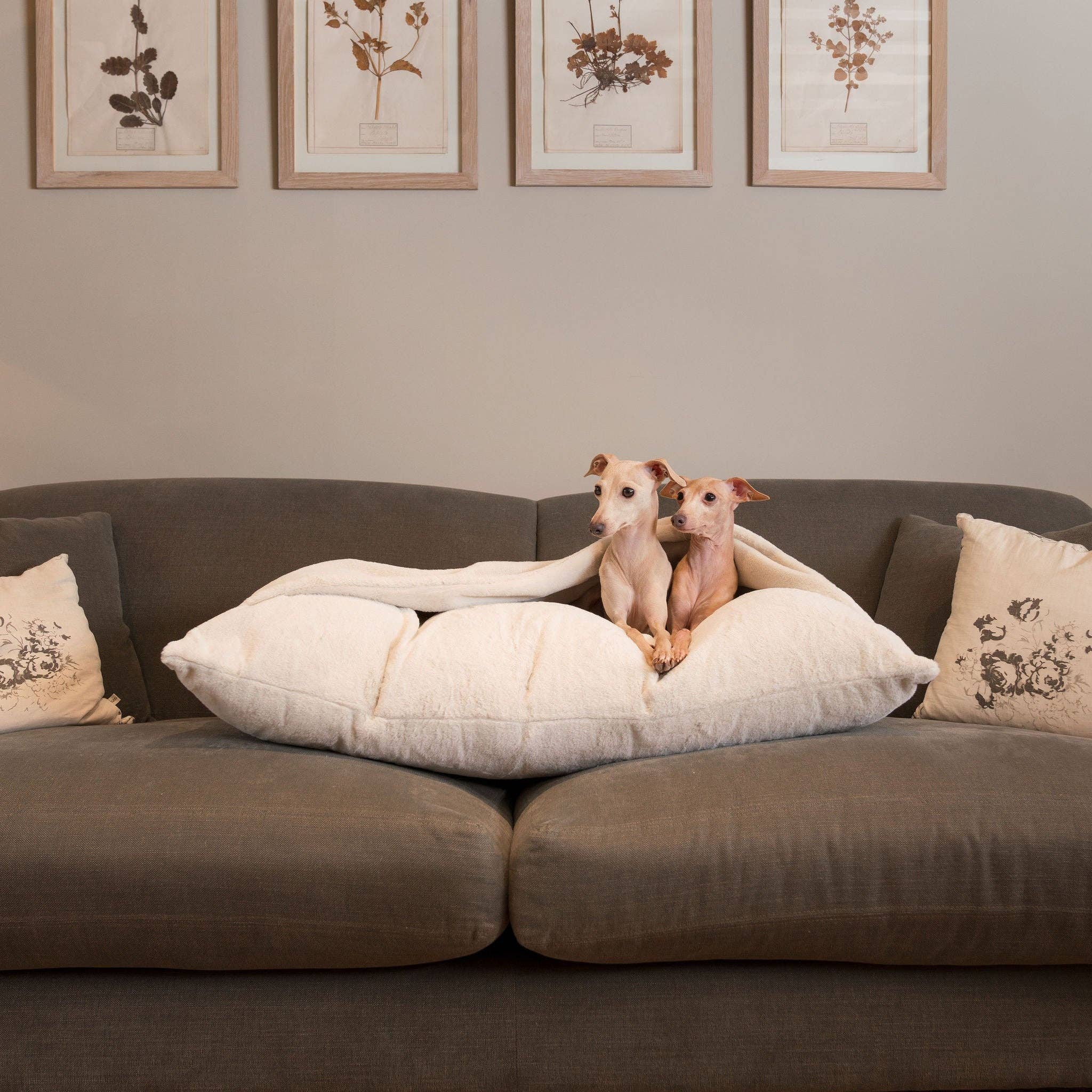 Sleepy Burrows Bed in Cream Faux Fur used flat as a cushion