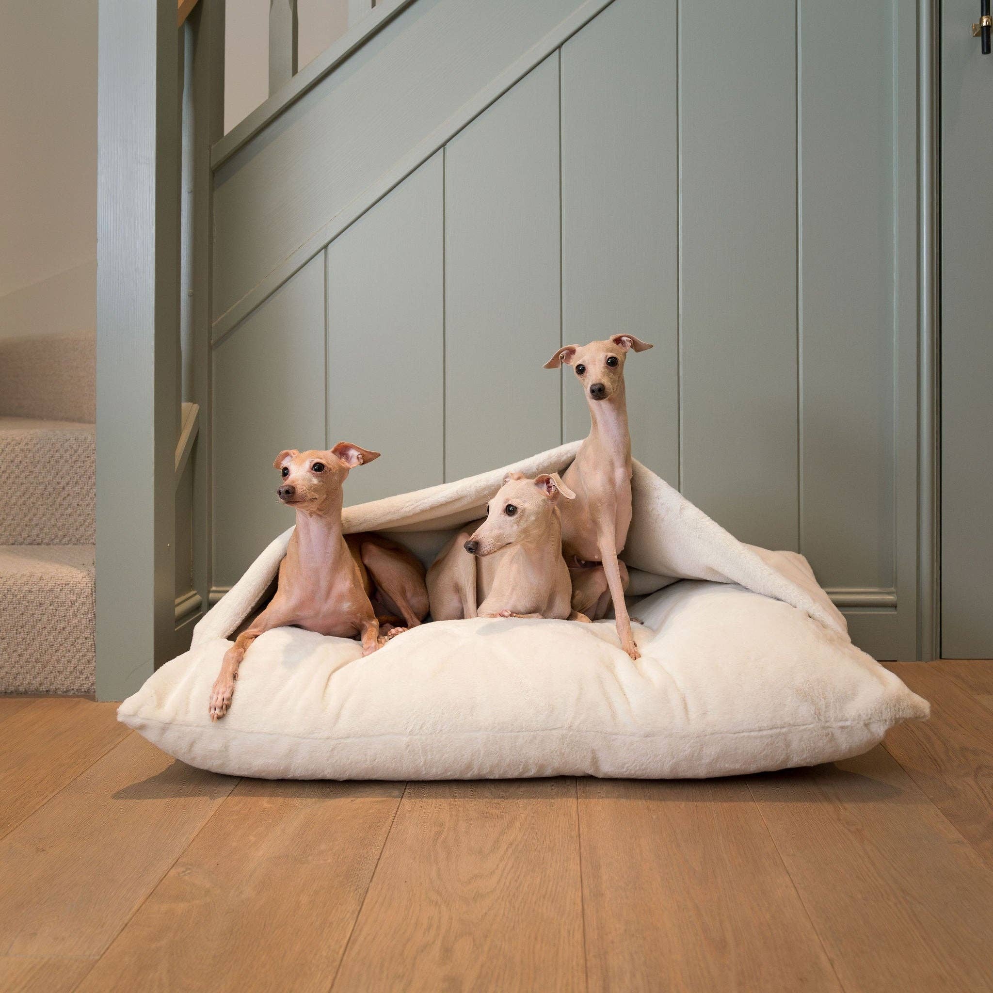 Dog relaxing inside the Sleepy Burrows Bed in Cream Faux Fur