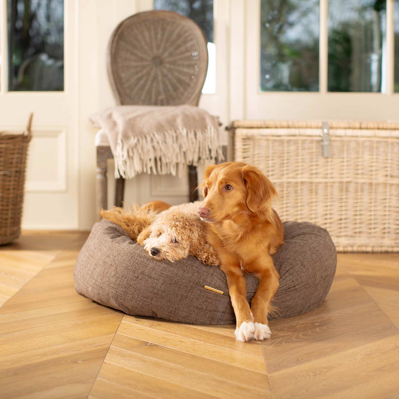 Lords & Labradors Inchmurrin Donut Dog Bed in Umber