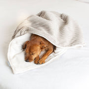 Light Grey Essentials Plush Dog & Puppy Blanket by Lords & Labradors