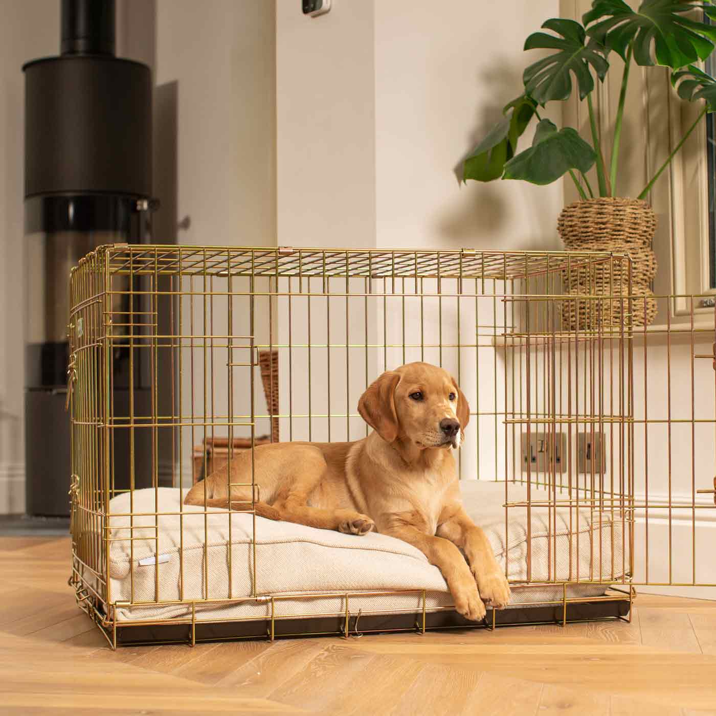 Luxury Natural Herringbone Tweed Dog Cushion styled in a modern home interior
