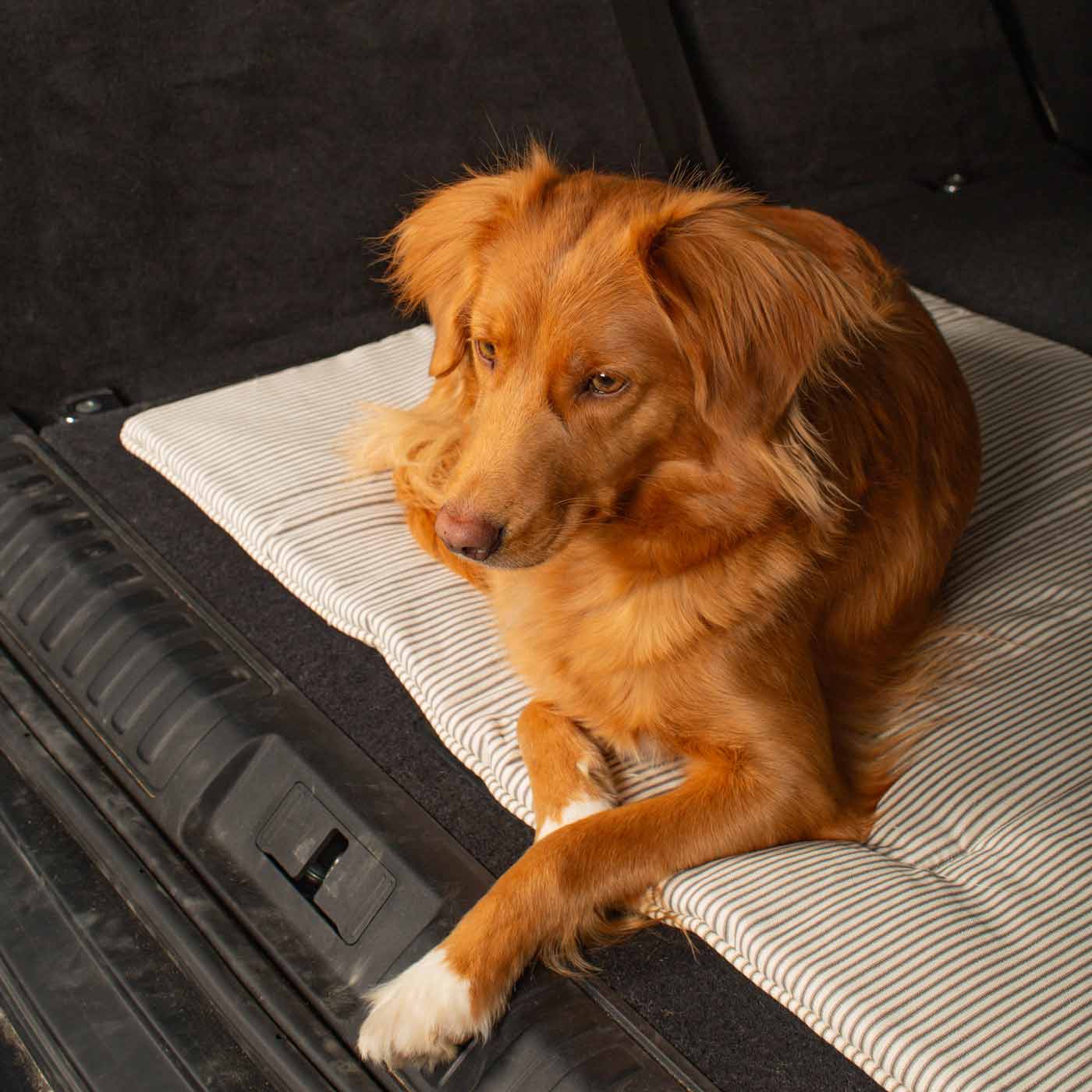 Soft padded detail on the Stripes Travel Mat