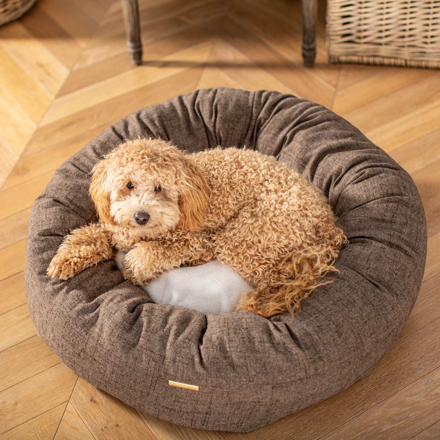 Dog lying on a gray pet bed in a room with wooden flooring.